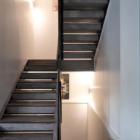 Luxury Leijonanluola Himos