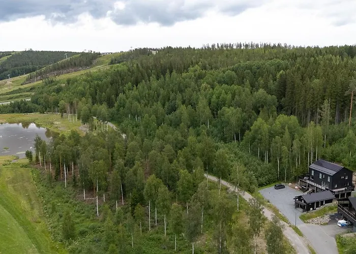 Huvilat Luxury Leijonanluola *